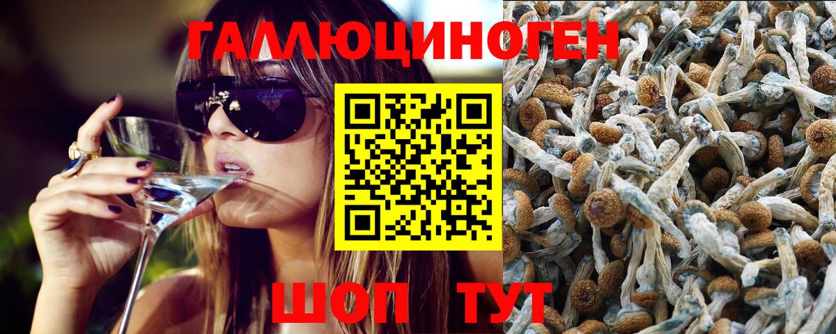 Галлюциногенные грибы мицелий Калуга