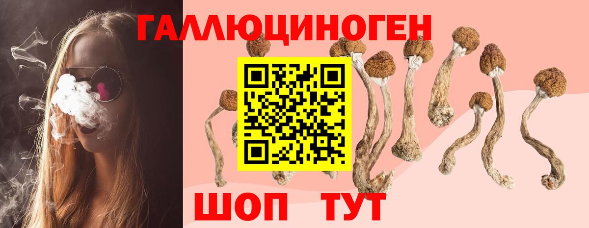 Калуга  где купить наркоту  Псилоцибиновые грибы GOLDEN TEACHER  Вход с VPN  Псилоцибиновые грибы ЛСД 